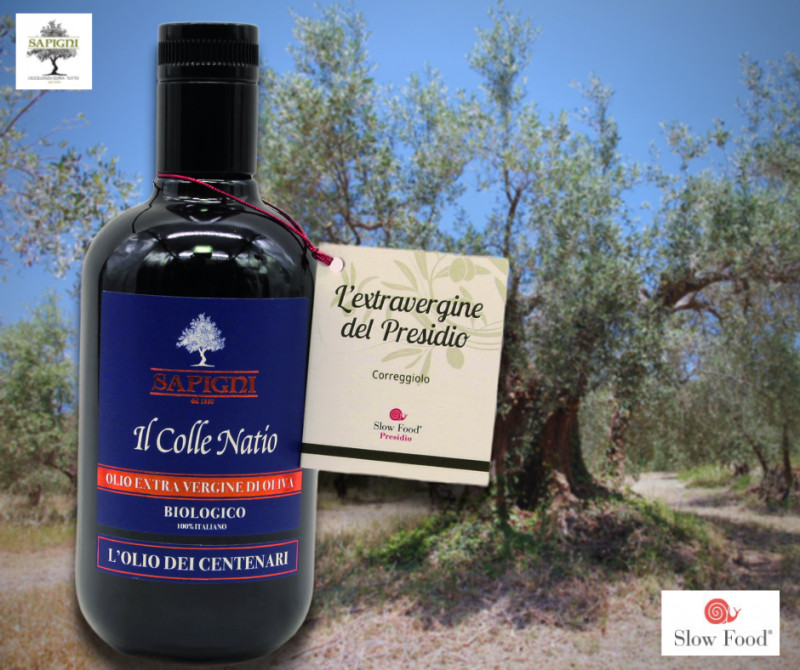 Grazie alla collaborazione con Slow Food Italia l'Oleificio Sapigni di Rimini ha creato un olio estratto dalle olive delle piante secolari del suo storico uliveto.