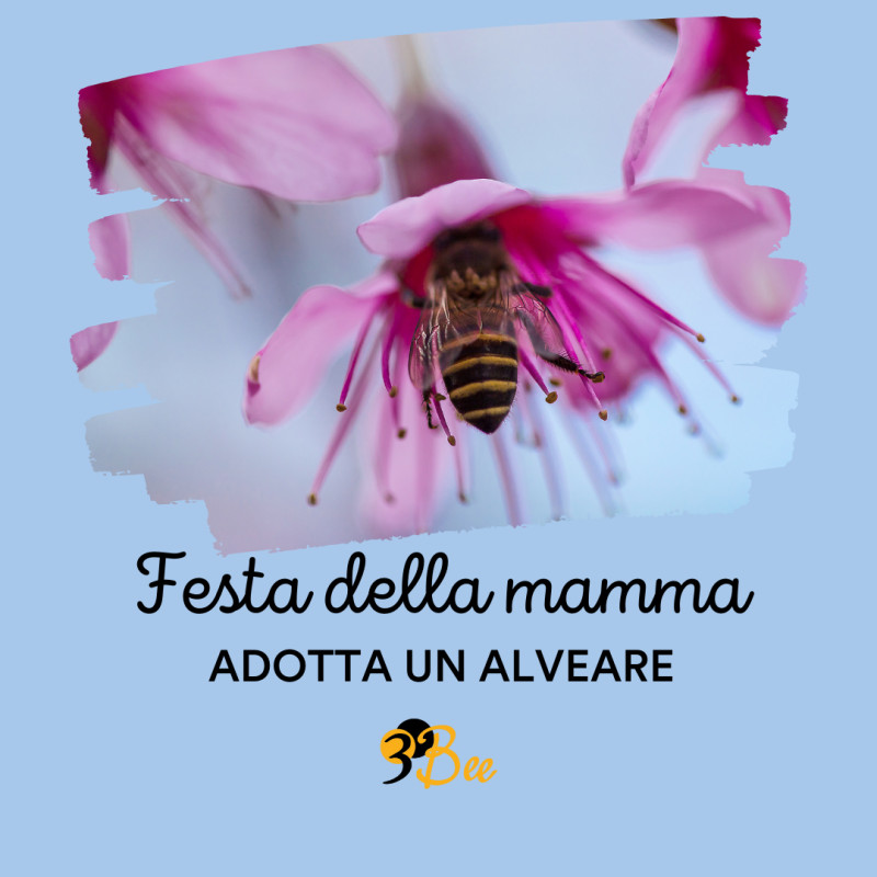 Adotta un alveare 3Bee e Polly, due progetti dal forte impatto ambientale e sociale nati in casa 3Bee, la startup che pone l’ape al centro e che è nata con  l’obiettivo di proteggere gli insetti impollinatori con la tecnologia.